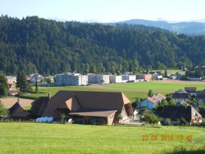 dscn2017